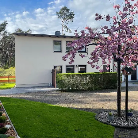 Wegner * טראסנהיידה