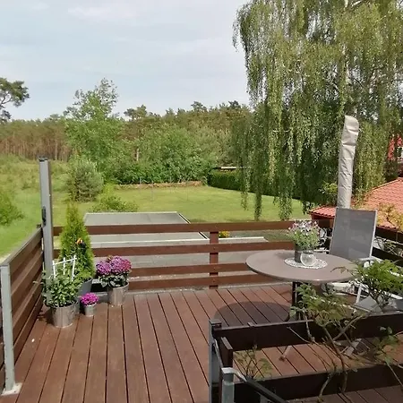 Wegner טראסנהיידה